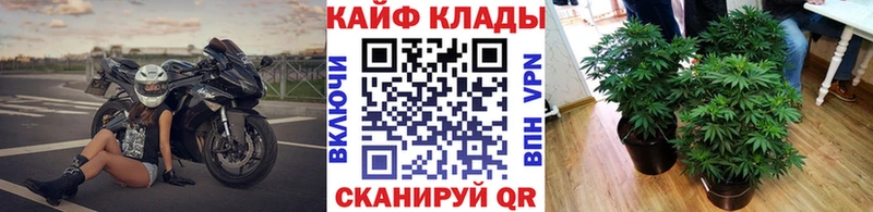 Виды наркотиков купить Москва А ПВП  Амфетамин  COCAIN  Бошки Шишки 