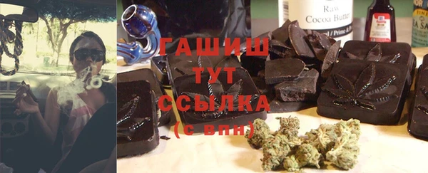 PSILOCYBIN Лагань