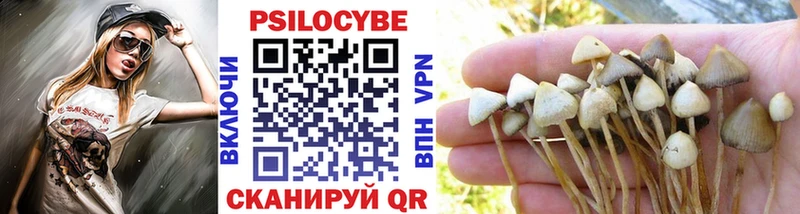 где купить наркотик  Москва  Псилоцибиновые грибы Psilocybine cubensis 