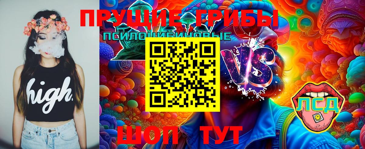 Галлюциногенные грибы Cubensis  Вход с VPN  цены   Москва 