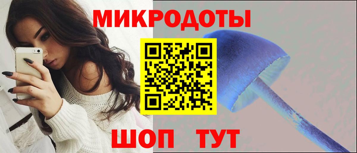 Галлюциногенные грибы прущие грибы Москва