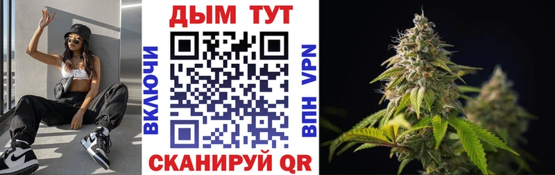 Бошки Шишки сатива  как найти закладки  Москва 